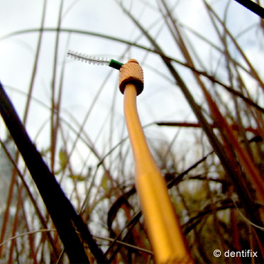 Halter für Interdentalbürsten